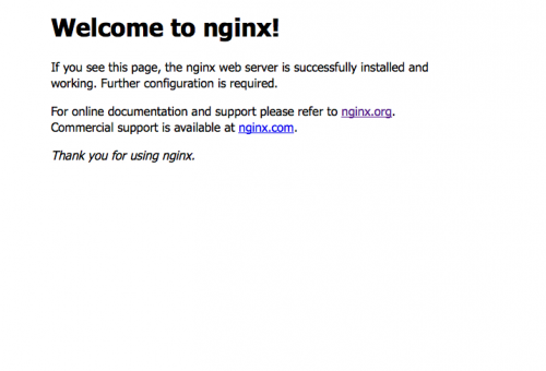 Nginxで接続できた！